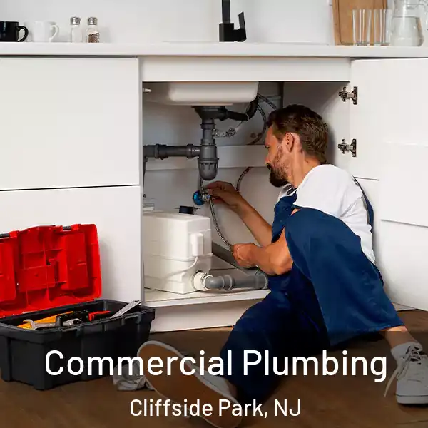  Commercial Plumbing Cliffside Park, NJ
