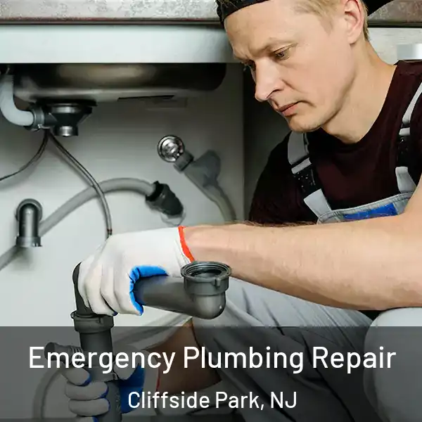  Emergency Plumbing Repair Cliffside Park, NJ