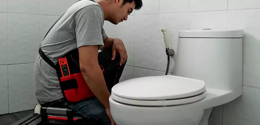 Toilet Repair in Cliffside Park