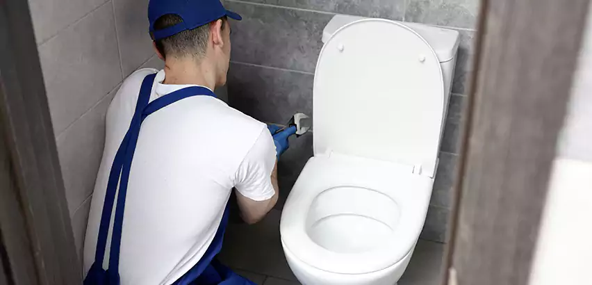 Toilet Lid Replacement in Cliffside Park