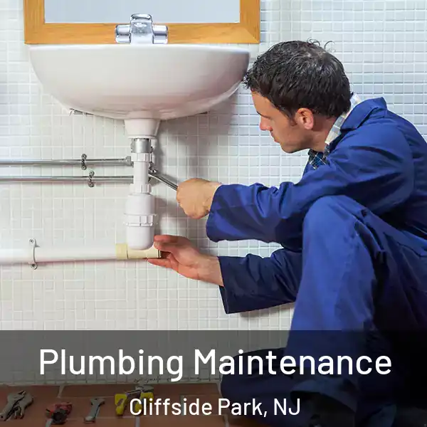  Plumbing Maintenance Cliffside Park, NJ
