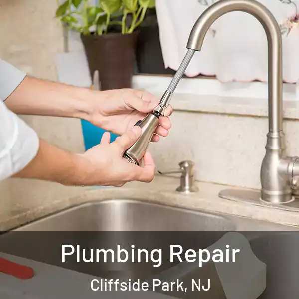  Plumbing Repair Cliffside Park, NJ