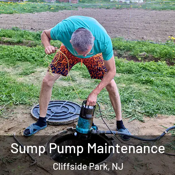  Sump Pump Maintenance Cliffside Park, NJ