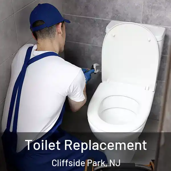 Toilet Replacement Cliffside Park, NJ