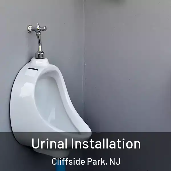  Urinal Installation Cliffside Park, NJ