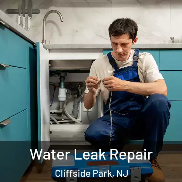  Water Leak Repair Cliffside Park, NJ
